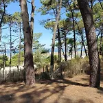Ferienhaus Chez Ced - / Bassin D'arcachon