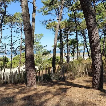 Hébergement de vacances Chez Ced - / Bassin D'arcachon