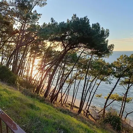 Chez Ced - / Bassin D'arcachon בית נופש