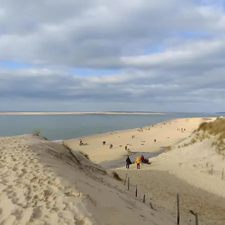 Chez Ced - / Bassin D'arcachon