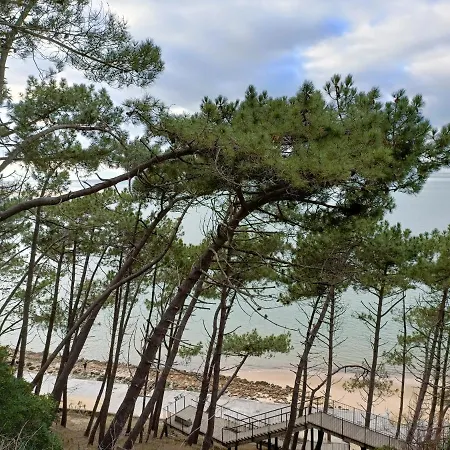 Chez Ced - / Bassin D'arcachon גוז'אן-מסטרה
